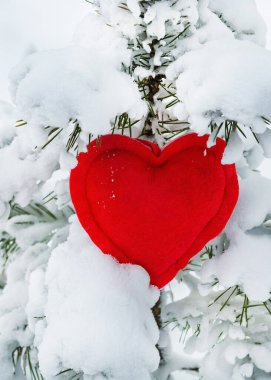 Kırmızı kalp - Karla kaplı bir Noel ağacının arka planında sevgililer günü.