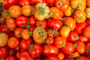 Kırmızı domatesli bir kutu, kökleri geç çürümüş..