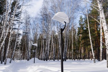 Çam ormanındaki yolda karla kaplı fenerler. Kış haftasonu konsepti. Parkta yürü..