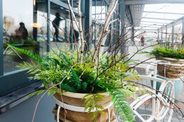 Süslü bir tencerede ağaç dalları ve çalılardan oluşan güzel bir bahar düzenlemesi sokaktan bir kafeye veya dükkana girişi süslüyor. Vazo bir retro motorun içine yerleştiriliyor..