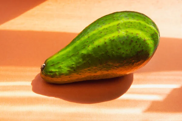 Image d'un avocat sur fond orange avec une ombre. Modèle pour un motif — Photo