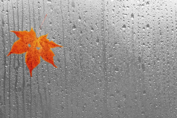 Paysage Automnal Avec Feuilles Érable Pluie Sur Verre Automne Souvent — Photo