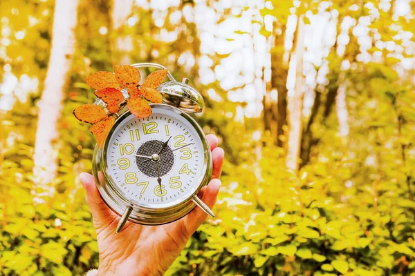 Female Hands Hold Alarm Clock Background Autumn Forest Concept Approach — Stock Photo, Image