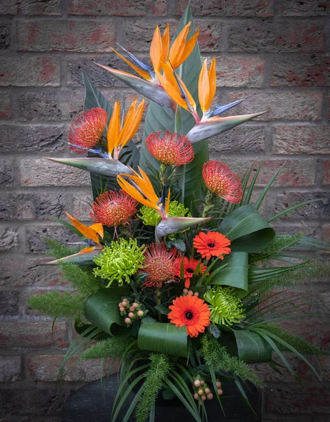 Een Ruime Vogel Van Het Paradijs Bloemstuk Tegen Een Bakstenen Stockfoto