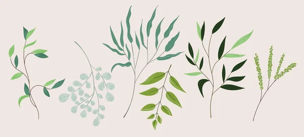 Floral Set handgezeichnete Farbblätter. Niedliche isolierte Elemente. Clip Art für Schreibwaren, Webdesign. Moderne Blumenkompositionen. Vektorillustration. — Stockvektor