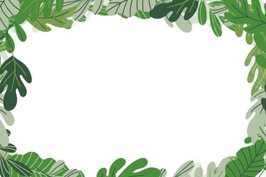 Beyaz arka planda renkli egzotik dalları olan çiçekli bir çerçeve. Tropik yapraklarla süslü bir sınır. Duvar kağıtları, posterler ve kart için vektör hisse senedi çizimi. Doodle tarzı. Boşluğu kopyala.
