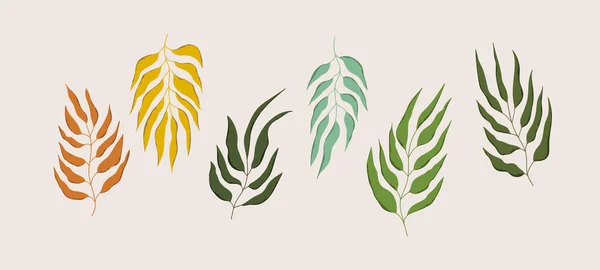 Set floral dessiné à la main feuilles de couleur. Mignons éléments isolés. Clip art pour papeterie, web design. compositions florales modernes. Illustration vectorielle. — Image vectorielle