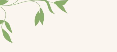 Renkli egzotik canavar yapraklı çiçek web afişi. Doğa konsepti tasarımı. Yaz dallı modern çiçek kompozisyonları. Ekoloji, natura, çevre teması üzerine vektör illüstrasyonu