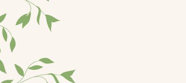 Renkli egzotik canavar yapraklı çiçek web afişi. Doğa konsepti tasarımı. Yaz dallı modern çiçek kompozisyonları. Ekoloji, natura, çevre teması üzerine vektör illüstrasyonu