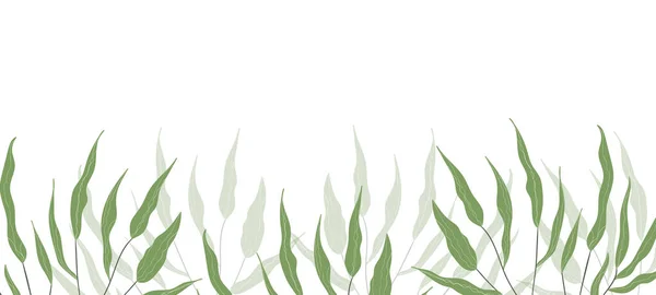 Banner web floreale con foglie esotiche di colore disegnato. Design concettuale della natura. Composizioni floreali moderne con rami estivi. Illustrazione vettoriale sul tema dell'ecologia, natura, ambiente — Vettoriale Stock