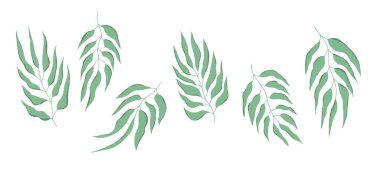 Çiçek desenli el çizimi renk yaprakları. Hoş izole elementler. Kırtasiye malzemeleri için klip sanatı, web tasarımı. Modern çiçek kompozisyonları. Vektör illüstrasyonu.