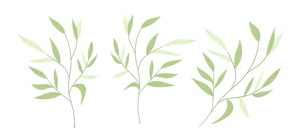 꽃무늬 수선화 잎이다. 격리되어 있는 귀여운 원소들. 문구, 웹 디자인을 위한 클립 아트. 현대의 꽃꽂이. 벡터 일러스트. — 스톡 벡터