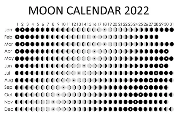 2022 Calendario lunar. Diseño del calendario astrológico. Planificador. Lugar para pegatinas. Mes planificador de ciclos maqueta. Fondo blanco y negro aislado — Vector de stock