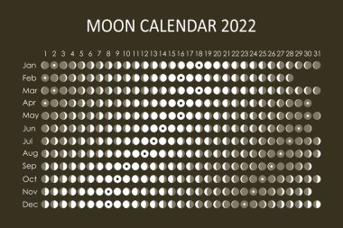 2022 Ay takvimi. Astrolojik takvim tasarımı. Planlayıcı. Çıkartmalar için yer var. Ay döngüsü planlayıcısı. İzole edilmiş siyah beyaz arkaplan