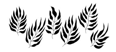 Çiçekli el çizimi siyah siluet yapraklar. Hoş izole elementler. Kırtasiye malzemeleri için klip sanatı, web tasarımı. Modern çiçek kompozisyonları. Vektör illüstrasyonu