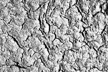 Grunge vektör dokusu. Soyut çatlak arka plan. Yaş ve yıpranmış kırık yüzey. Kirli ve hasarlı. Ayrıntılı kabataslak fon. Vektör grafik illüstrasyonu.