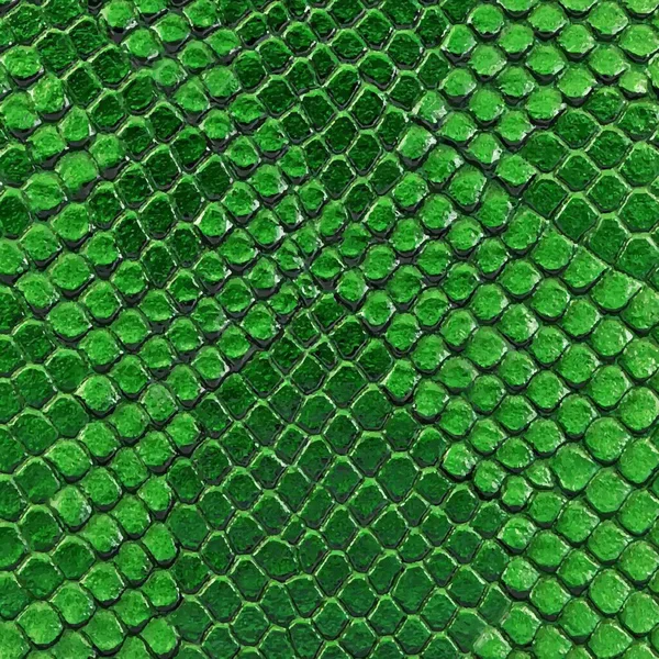 Зеленая Текстура Кожи Змеи Поверхность Рептилий Змей Графический Ресурс Фон — стоковый вектор