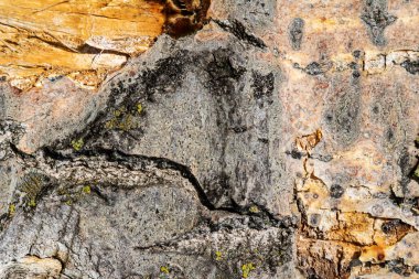 Ahşap soyut doku. Yüzey grunge arka planı. Kirli ahşap efekt deseni. Malzeme geçmişi. Grafiksel kaynak.