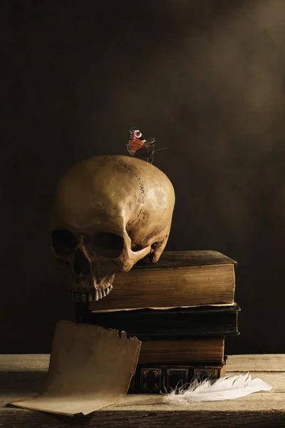 Menselijke schedel met vlinder en een lege pagina met veer — Stockfoto