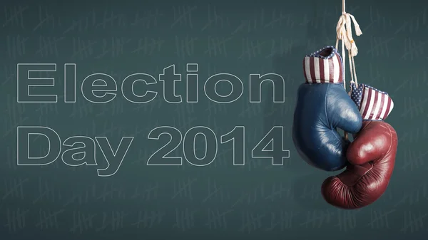 Dia das Eleições 2014 - Republicanos e Democratas na campanha — Fotografia de Stock