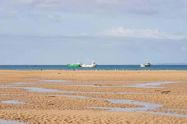 Sulla spiaggia di Portbail, Normandia, Francia con bassa marea — Foto Stock