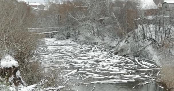 눈덮인 연못에 나뭇가지를 매달아 마을의 — 비디오