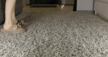 Terlikli kız, ipli bir oyuncakla bir kediyi cezbeder.