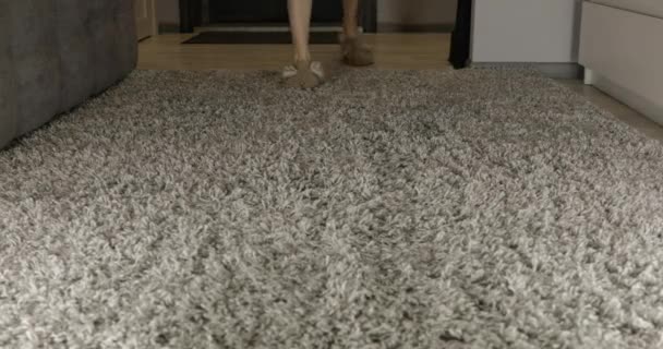 Pieds Féminins Pantoufles Intérieures Chaudes Sur Tapis Gris — Video