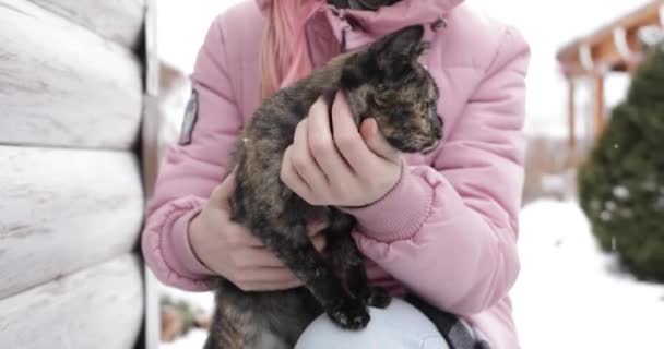 Small Tricolor Kitten Sits Arms Girl Winter Outdoor — стоковое видео