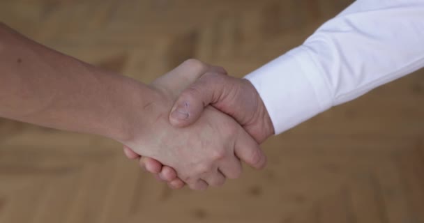 Male Female Firm Handshake — Stock Video