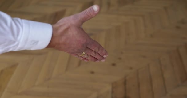Mannelijke Vrouwelijke Stevige Handdruk — Stockvideo