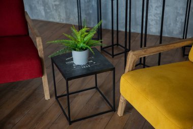 İki koltuğa yakın çekim, kırmızı ve sarı, ve vazoda bitki olan siyah bir masa.