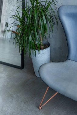 Kanepe, vazo ve ayna gri duvarda.