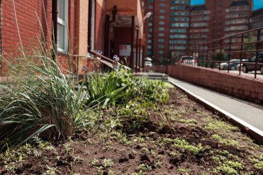 Yeni bir tuğla binanın birinci katının penceresinin altındaki yeşil çimenlik