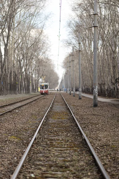 Demiryollarına yakın mesafeden bir tramvay geçiyor.