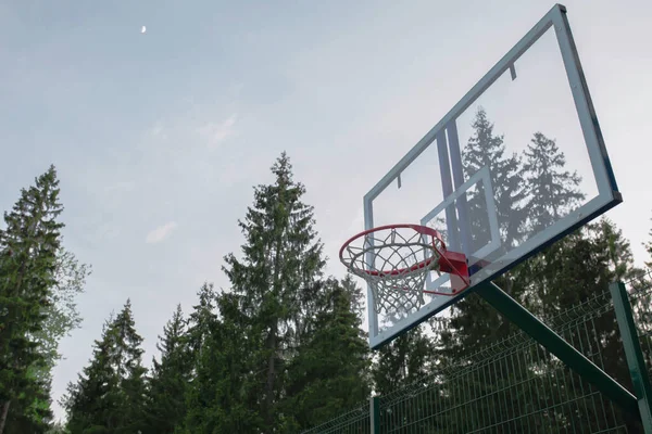 Basquete Aro Fundo Floresta Noite — Fotografia de Stock