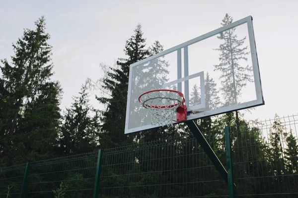 Akşamları Ormanın Arka Planında Basketbol Potası — Stok fotoğraf