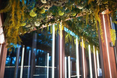 Tavanda bitkiler olan farklı lambalarla aydınlatılmış bir koridor.