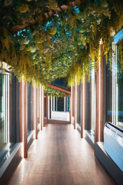 Tavanda bitkiler olan farklı lambalarla aydınlatılmış bir koridor.