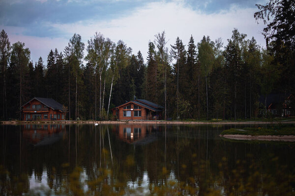 a lake on which a white swan swims and wooden houses on the shore.