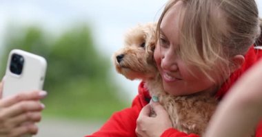 Novosibirsk Rusya 06.13.2021 Kadın küçük bir Maltipu köpeğiyle selfie çekiyor