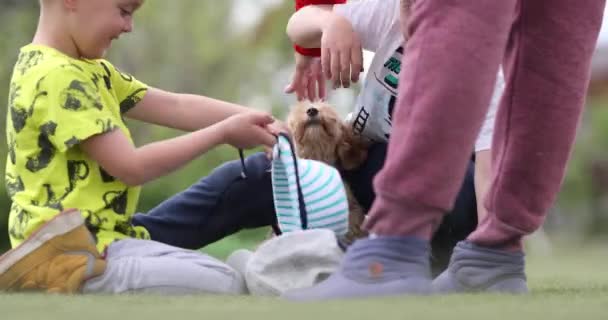 Novosibirsk Russia 2021 子供たちが犬と遊ぶ — ストック動画