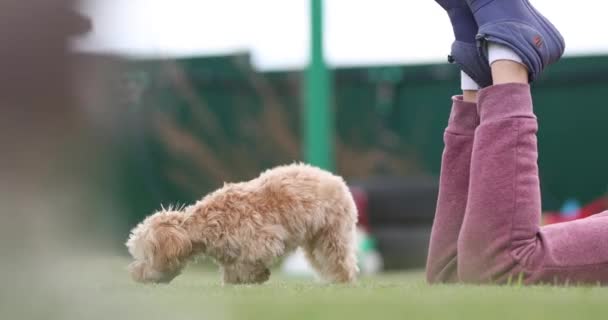 Nowosibirsk Russland 2021 Kinder Spielen Mit Hund — Stockvideo