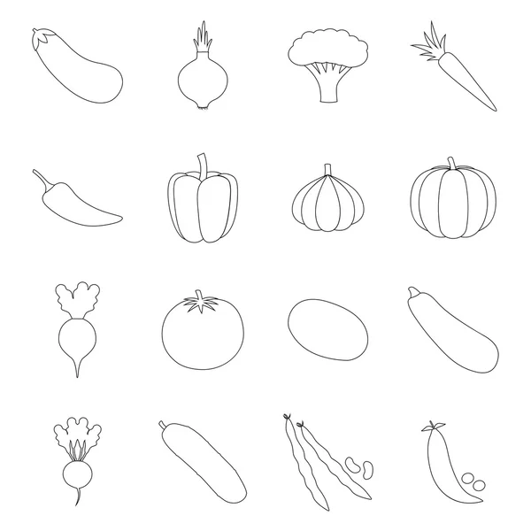 Conjunto de iconos vegetales, ilustración vectorial — Archivo Imágenes Vectoriales