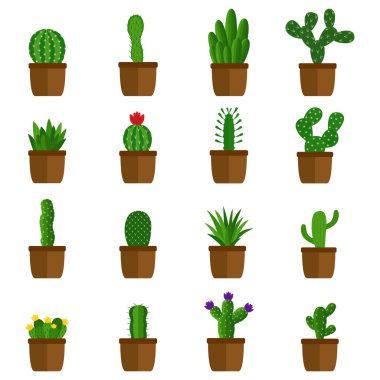 Tencerelerde kaktüs seti, vektör illüstrasyonu