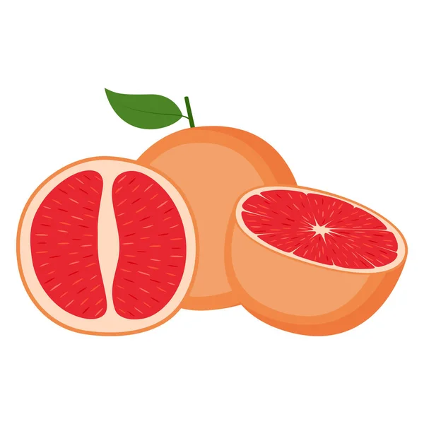 Γκρέιπφρουτ Ολόκληρα Φρούτα Και Μισά Λευκό Φόντο Διανυσματική Απεικόνιση — Διανυσματικό Αρχείο