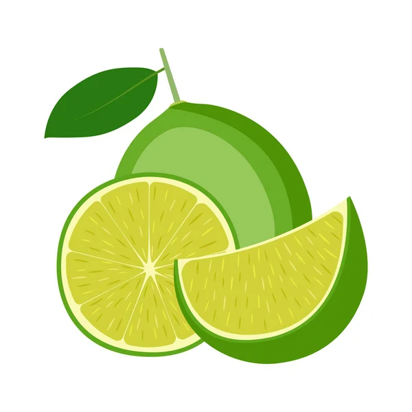 Limon Tam Meyve Yarısı Dilimi Beyaz Arka Planda Vektör Illüstrasyonu — Stok Vektör