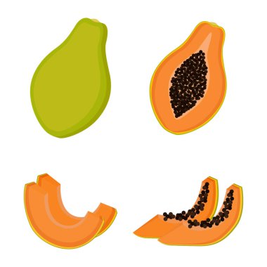 Papaya, tam meyve, yarısı ve dilimler. Vektör illüstrasyonu