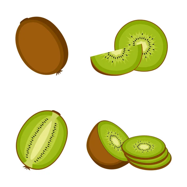 Ακτινίδια Ολόκληρα Φρούτα Μισά Και Φέτες Λευκό Φόντο Διανυσματική Απεικόνιση — Διανυσματικό Αρχείο