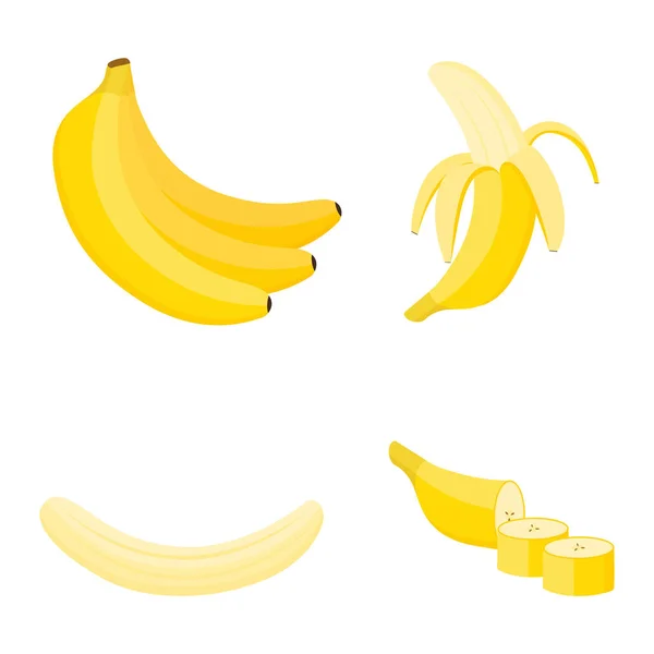 Banana Whole Fruit Half Slices Vector Illustration — Stock Vector